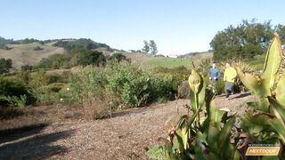 Jogging Buds (James Jamesson, Duke Ryder)