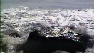 Malibu Pool Boys (1992)