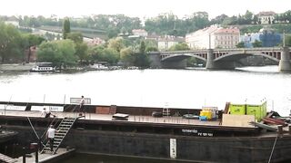 The Last Rose - Scene 2