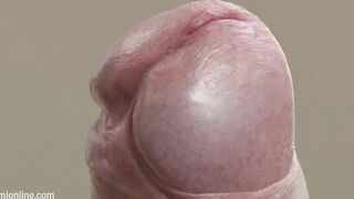 Bennet O’Boyle - Photosession Videos